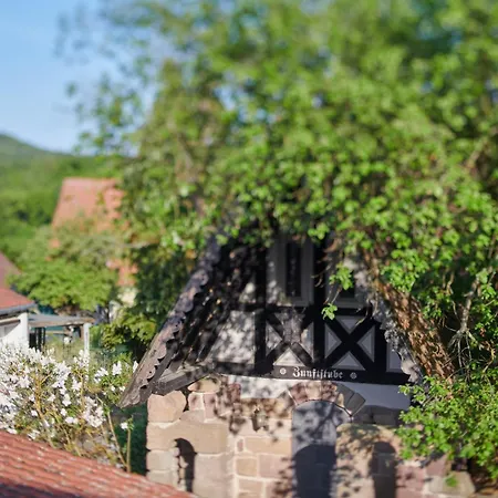 Ξενοδοχείο Der Grischaefer Bad Emstal