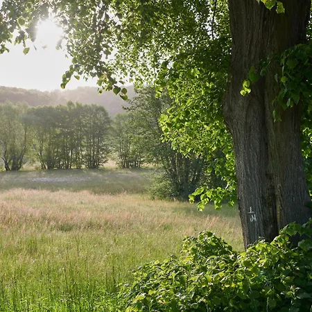 Hotel Der Grischäfer Bad Emstal