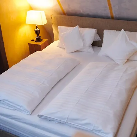 Hotel Der Grischäfer 3*