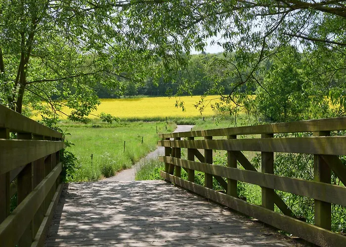 Der Grischäfer Hotel Bad Emstal