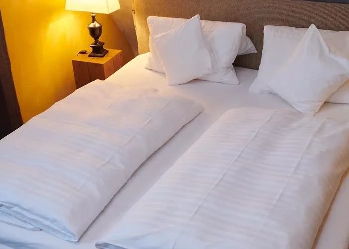 Hotel Der Grischäfer 3*